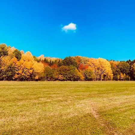 Bayerischer Wald - Balbersdorf Waffenbrunn Zewnętrze zdjęcie