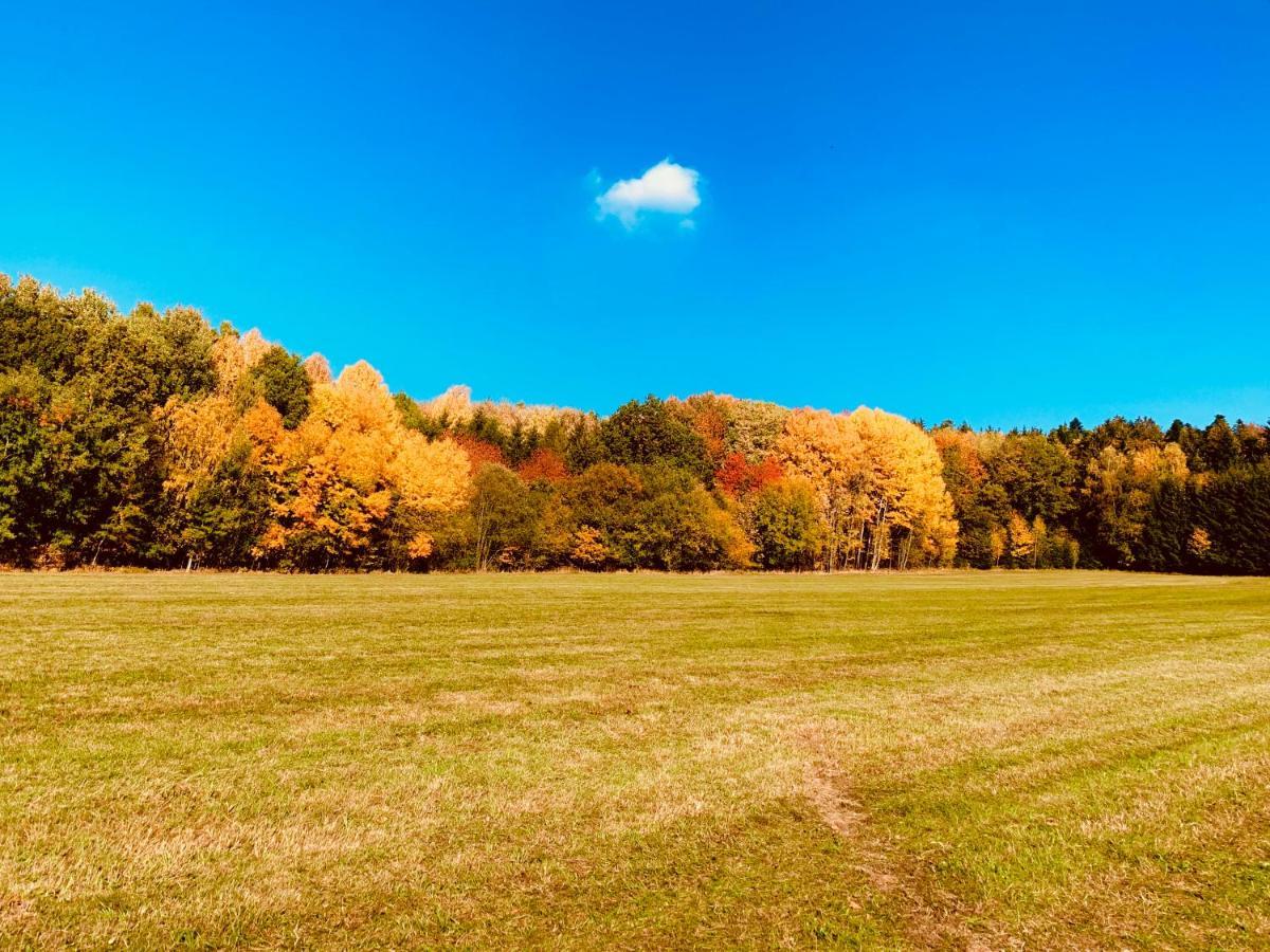 Bayerischer Wald - Balbersdorf