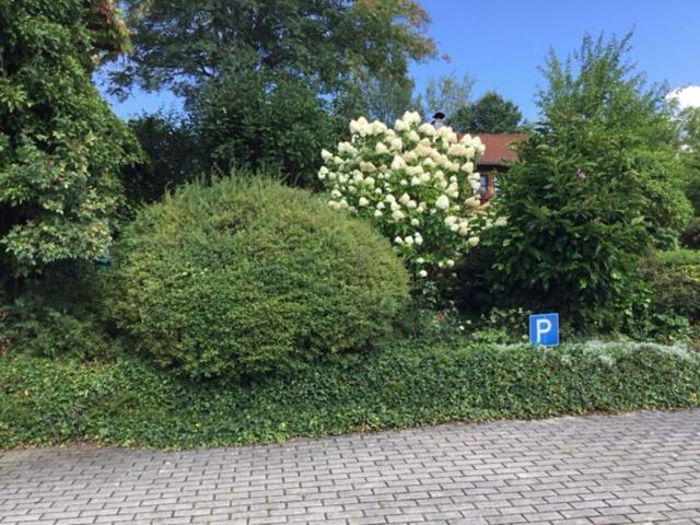 Apartment Bayerischer Wald - Balbersdorf *